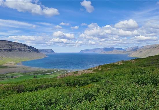 Island - západní fjordy