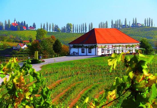 Ze slovinského Toskánska k vinicím u Jadranu i smaragdové Soče