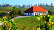 Ze slovinského Toskánska k vinicím u Jadranu i smaragdové Soče