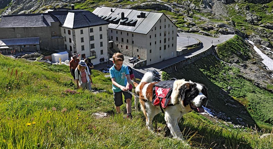 Za bernardýny, nejvyšší horou a nejdelším ledovcem Evropy