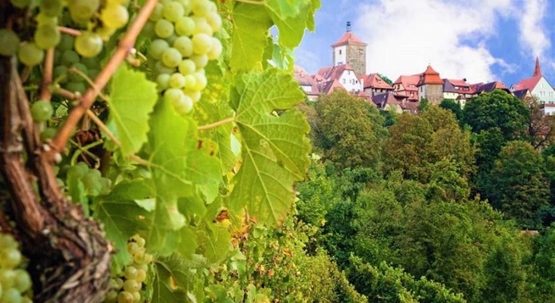 Francké Švýcarsko a romantická vinná stezka - exkluzivní zájezd za vínem, norimberským pivem a poznáním