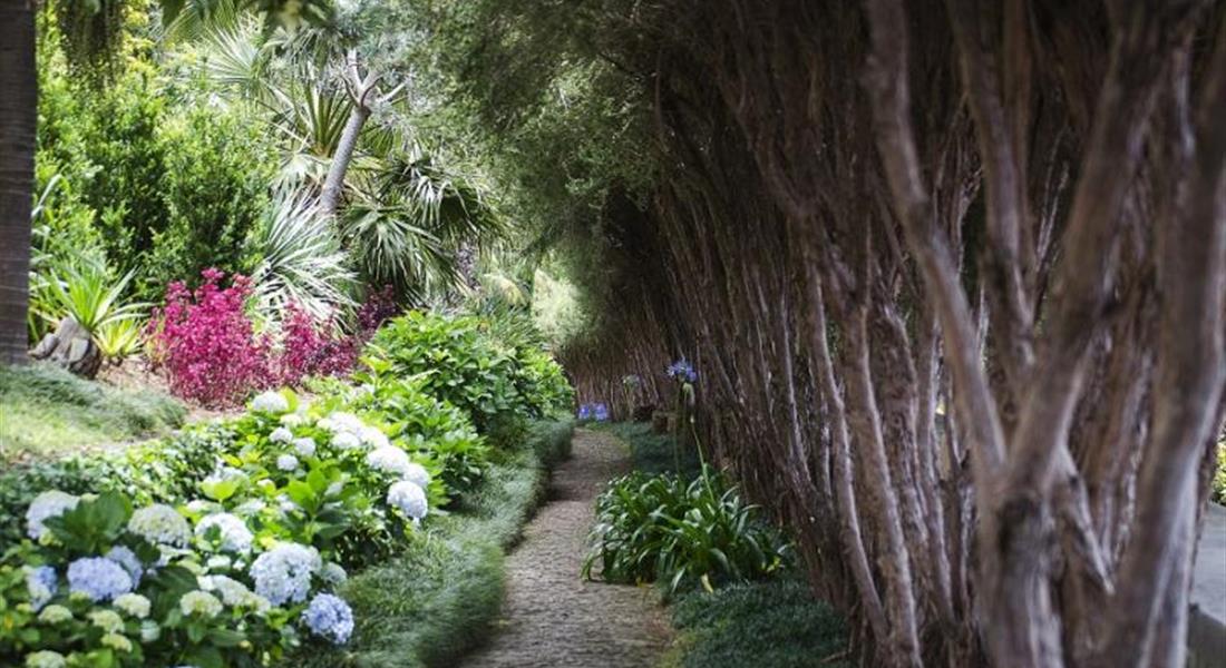 Madeira - květinová a turistická