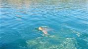Zakynthos a Kefalonie - čarokrásné ostrovy v Ionském moři
