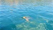Zakynthos s výletem na Kefalonii - studia - bez stravy - 7 nocí