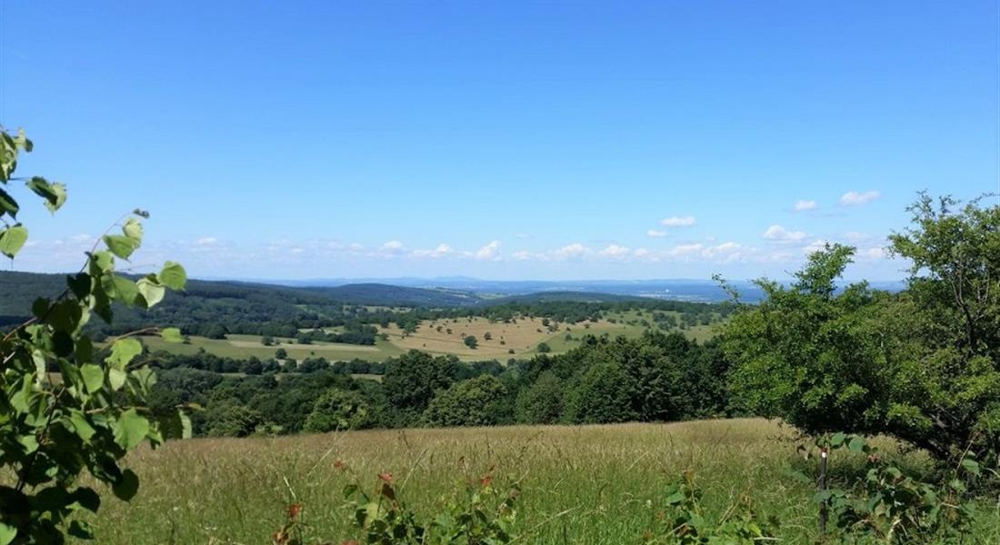 Královská města a malebné Karpaty