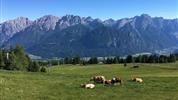 Východní Tyrolsko s kartou Osttirol's Glockner-Dolomiten a wellness