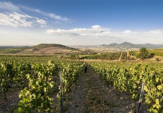 Tokajské dobrodružství v Uhrách a na Slovensku