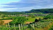 ALSASKO, ŠVÝCARSKO A ČERNÝ LES  za víny a poznáním do tří zemí s výjezdem na Dračí horu Pilatus!