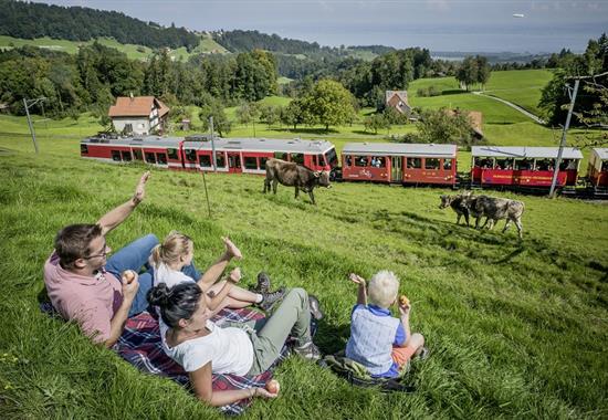 S kartou do tří zemí u Bodamského jezera a do kraje Heidi