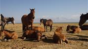 Kyrgyzstán - rajská příroda jezer a hor