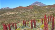 Tenerife - cesta za poznáním klenotu Kanárských ostrovů