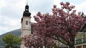 Železnicí UNESCO na Semmering a hrad Forchtenstein