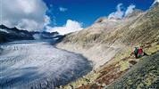 Saas-Tall - údolí čtyřtisícovek a Matterhorn s kartou na lanovky