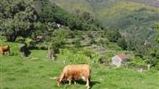 Porto a bukolická příroda severního Portugalska