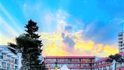 Flamingo Beach (ex Avliga Beach)