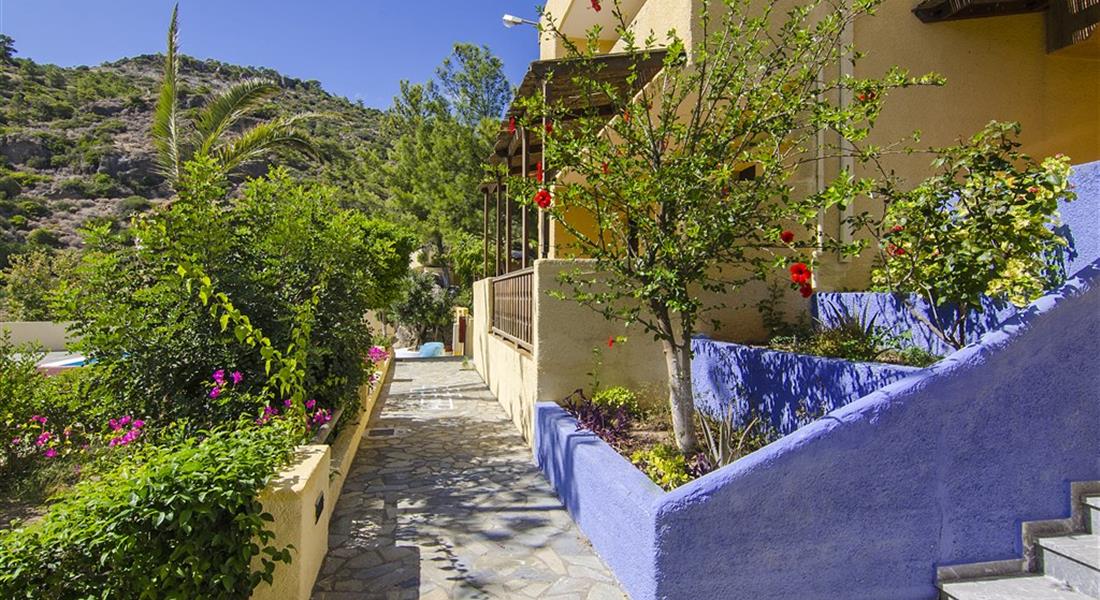 Porfyra Village