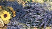 Provence a krásy Azurového pobřeží jedna cesta letecky