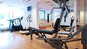 Albatros Spa & Resort - fitness