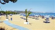 Bivalvia Beach Plus