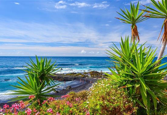 KANÁRSKÉ OSTROVY - TENERIFE S VÝLETEM NA OSTROV LA GOMERA