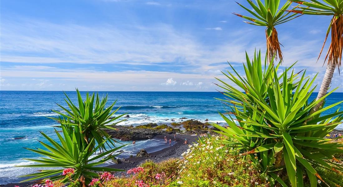 KANÁRSKÉ OSTROVY - TENERIFE S VÝLETEM NA OSTROV LA GOMERA