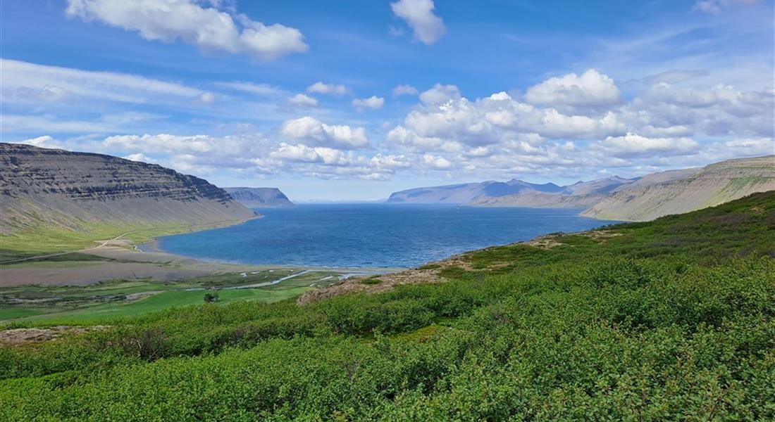 Island - západní fjordy