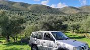 Zakynthos s výletem na Kefalonii - studia - bez stravy - 7 nocí
