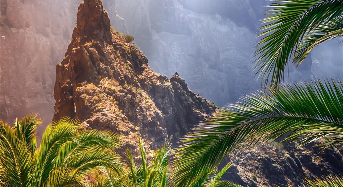Tenerife - cesta za poznáním klenotu Kanárských ostrovů