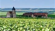 Burgundsko - za burgundskými vévody a jejich víny