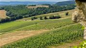 Burgundsko - za burgundskými vévody a jejich víny