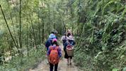 Vietnamem od Mekongu až do Sapy - Procházka bambusovým pralesem