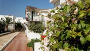 Cretan Garden