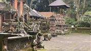 Bali - ostrov chrámů, rýžových polí a úsměvů - Ubud-opičí les