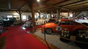 Korutansky kaleidoskop s Korutanskou kartou a koupáním v termálech - Porsche muzeum