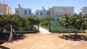 Creta Sun