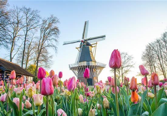 ROZKVETLÉ HOLANDSKO  země mlýnů, dřeváků a sýrů s návštěvou květinového parku KEUKENHOF