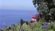 Azorské ostrovy - São Miguel a Flores – pěší turistika v květinovém ráji