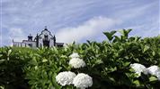 Azorské ostrovy - São Miguel a Flores – pěší turistika v květinovém ráji