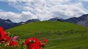 Švýcarsko letecky s panoramatickými vlaky Bernina Express a Ledovcový Express