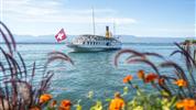 Za bernardýny, nejvyšší horou a nejdelším ledovcem Evropy - MySwitzerland.com