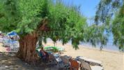 Creta Sun Beachfront
