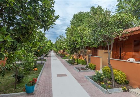 Özlem Garden