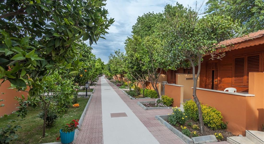 Özlem Garden - hotel je zasazený v krásné tropické zahradě